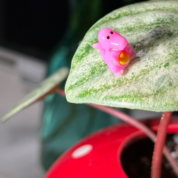 - 🍃20 pack plant magnets🍃 - Picture 15 of 15